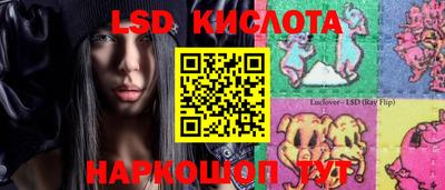 амф Донской