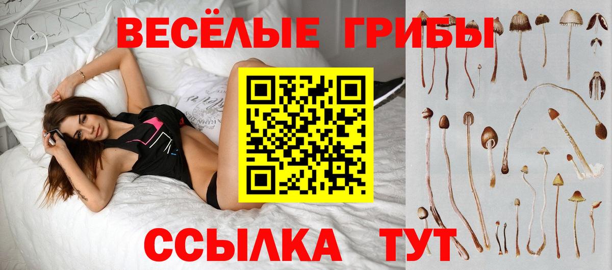 Галлюциногенные грибы ЛСД  Вход с VPN  Коряжма 