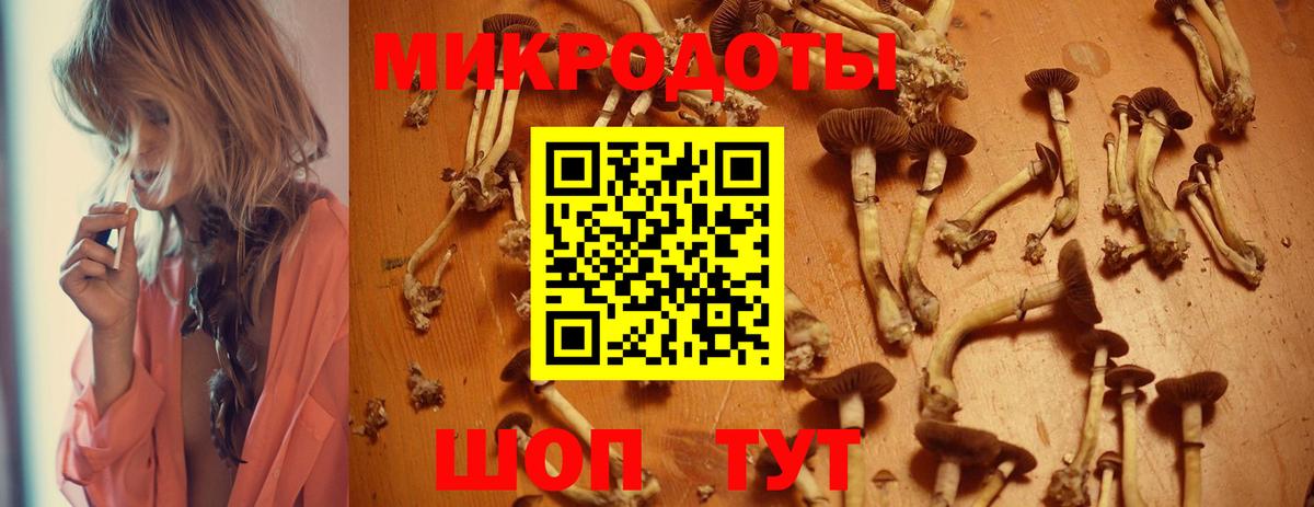 Галлюциногенные грибы мицелий Коряжма